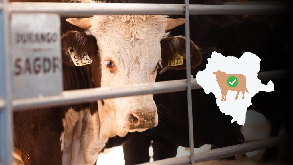 Diputado destaca primera etapa de Programa Integral para la Producción de Carne de Alta Calidad