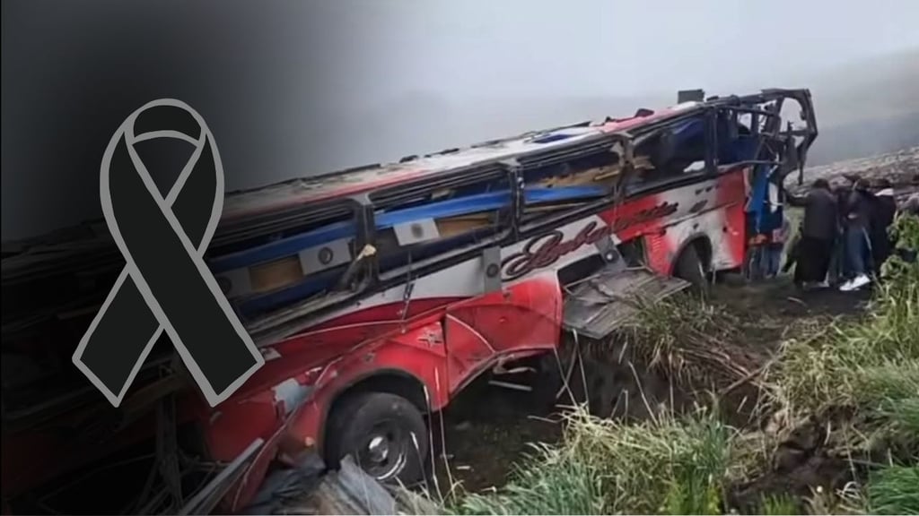 Autobús cae en ladera de una montaña; hay 13 muertos | VIDEO