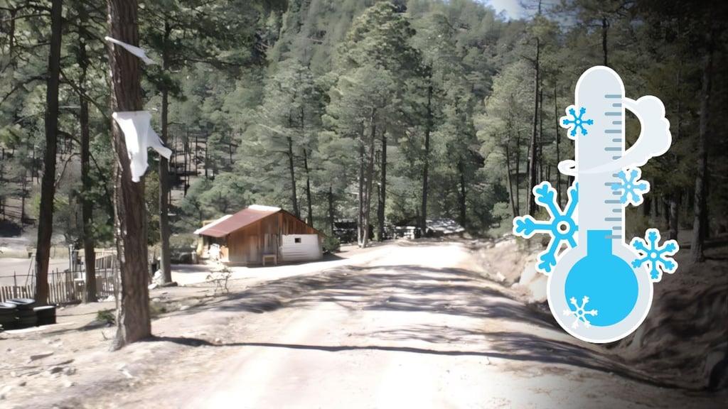 Frente frío 15 no pegó como esperaban en Durango; temperatura mínima, de -5.5 °C en La Rosilla
