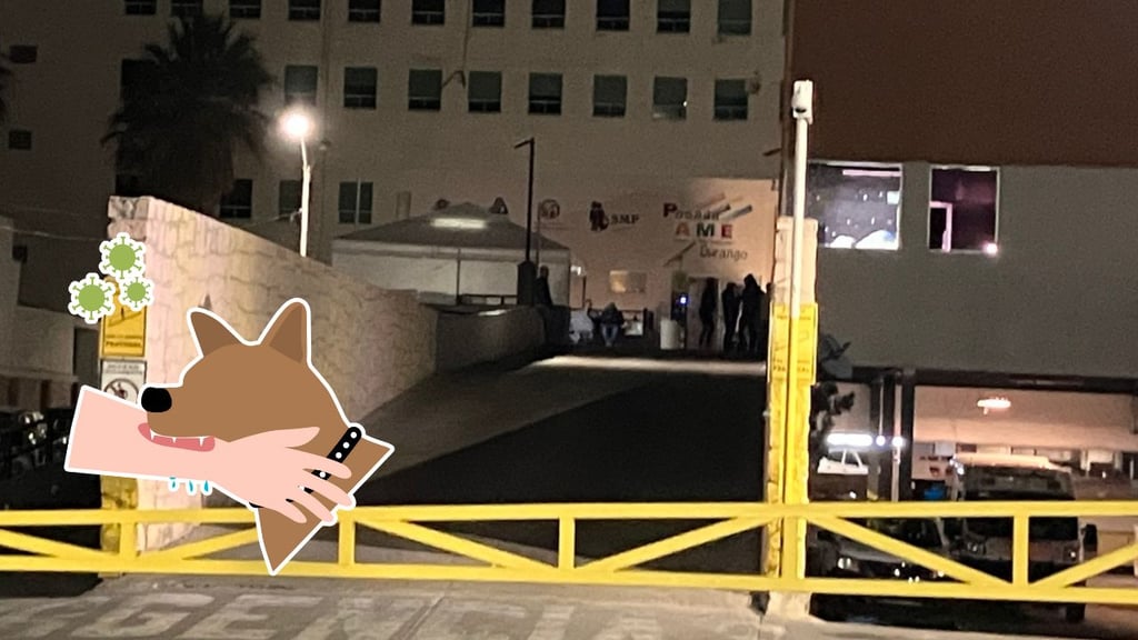 Menor ingresa al Materno Infantil de Durango tras ser mordido por perro en poblado Pino Suárez