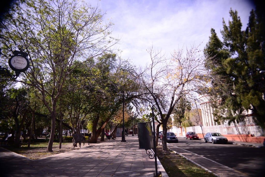 Pronóstico. Se espera viento de 50 a 60 km/h con rachas de 80 a 90 km/h en Chihuahua y Durango.