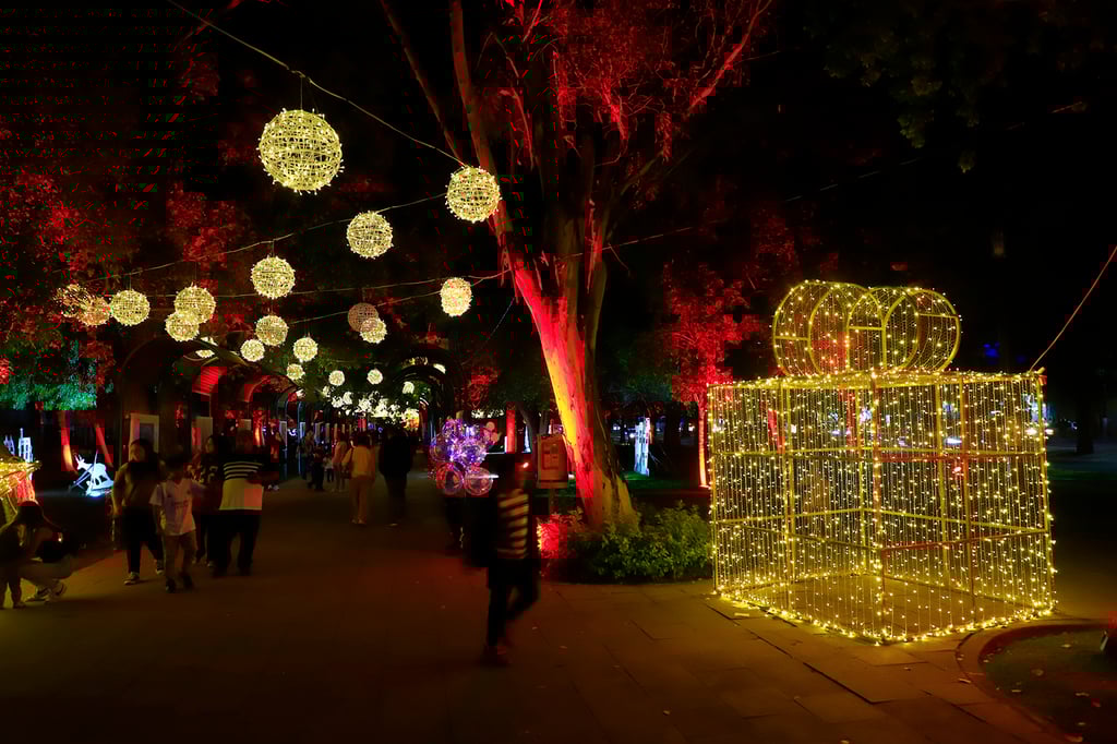 Aspecto. En cuestión del alumbrado por temporada navideña, solicitan que se amplíe y mejore a otras zonas.