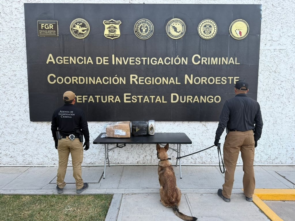 Acción. Aseguraron siete kilos de marihuana en el maletero de un autobús; la FGR abre una investigación para dar con el origen de la misma.