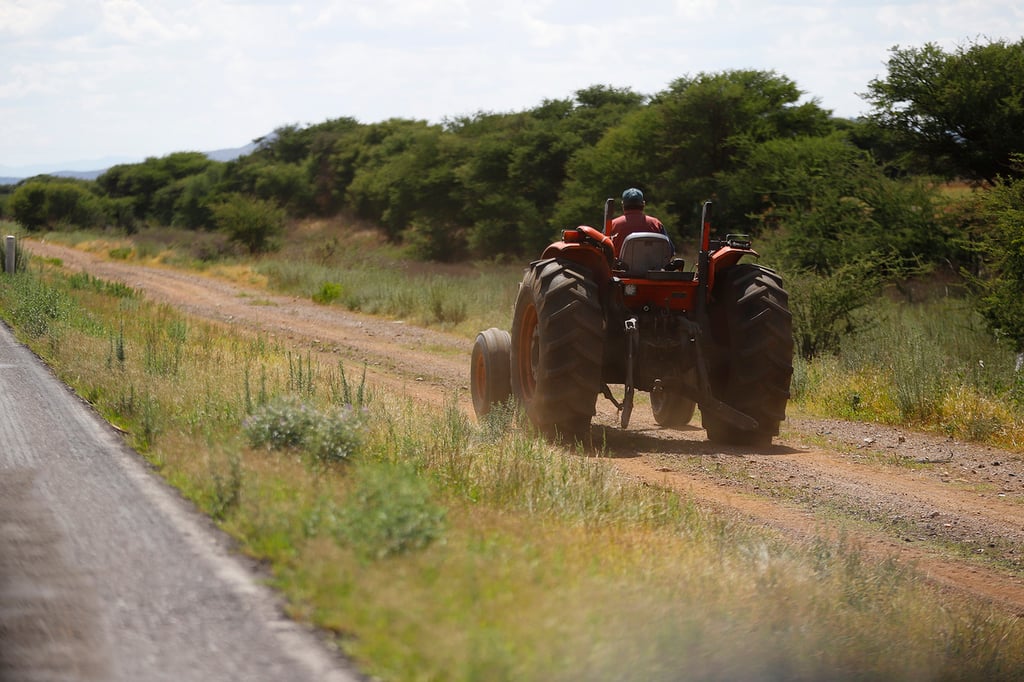 Apertura. Se ha retrasado la apertura de las bodegas de acopio de frijol, lo que ha generado molestia e incertidumbre.