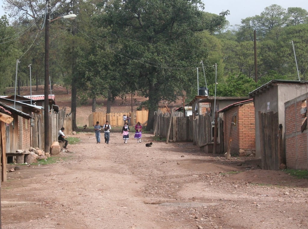 Fundamental. Durante la discusión del dictamen, se consideró esencial que los alimentos en las escuelas contribuyan a hábitos saludables.