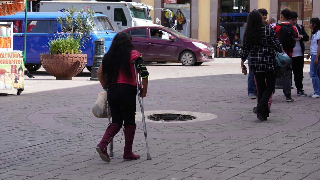Infraestructura. No existe un censo público ni mapa oficial que identifique zonas adaptadas o pendientes de intervención.