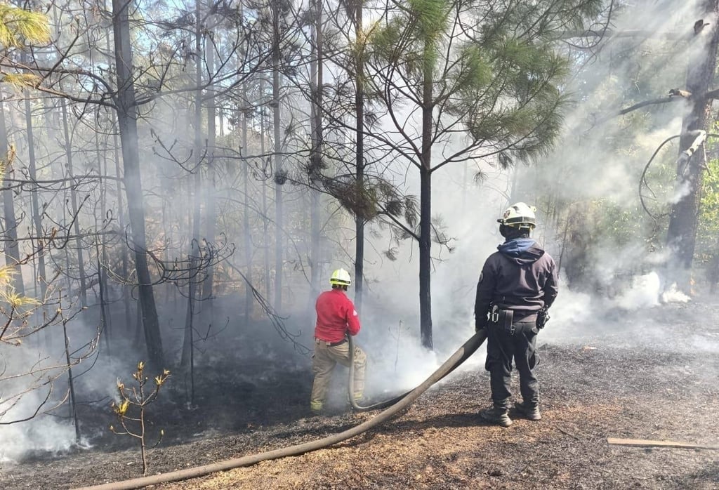 Curso. La intención de las capacitaciones a brigadistas es para contribuir a la protección de la población y mitigar el daño a los recursos naturales.