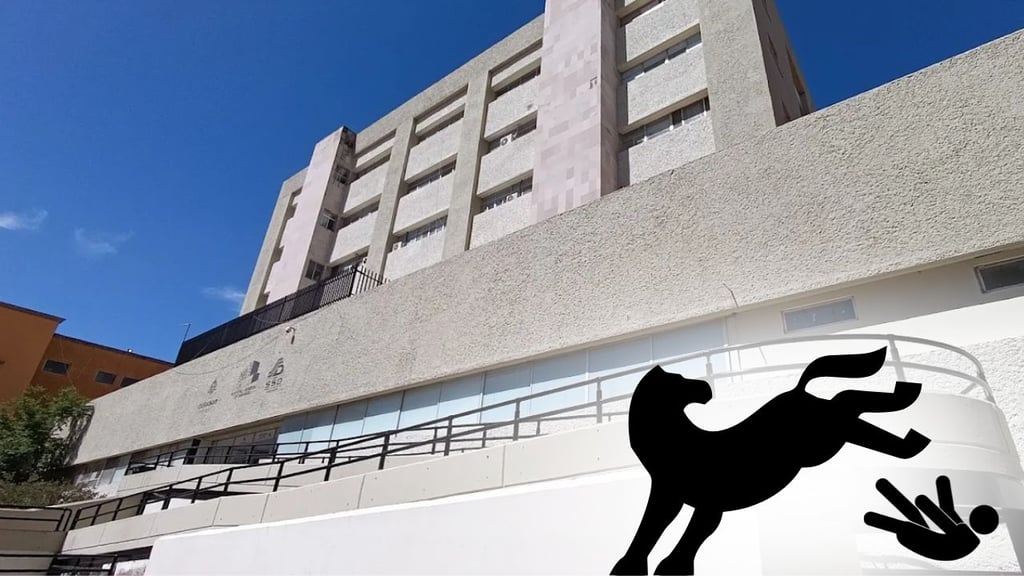 Caballo lesiona a niño de 4 años en Canatlán