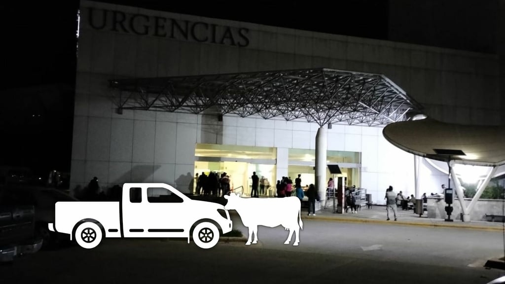 Mujer resulta lesionada tras chocar contra una vaca en Canatlán; fue trasladado al HG450