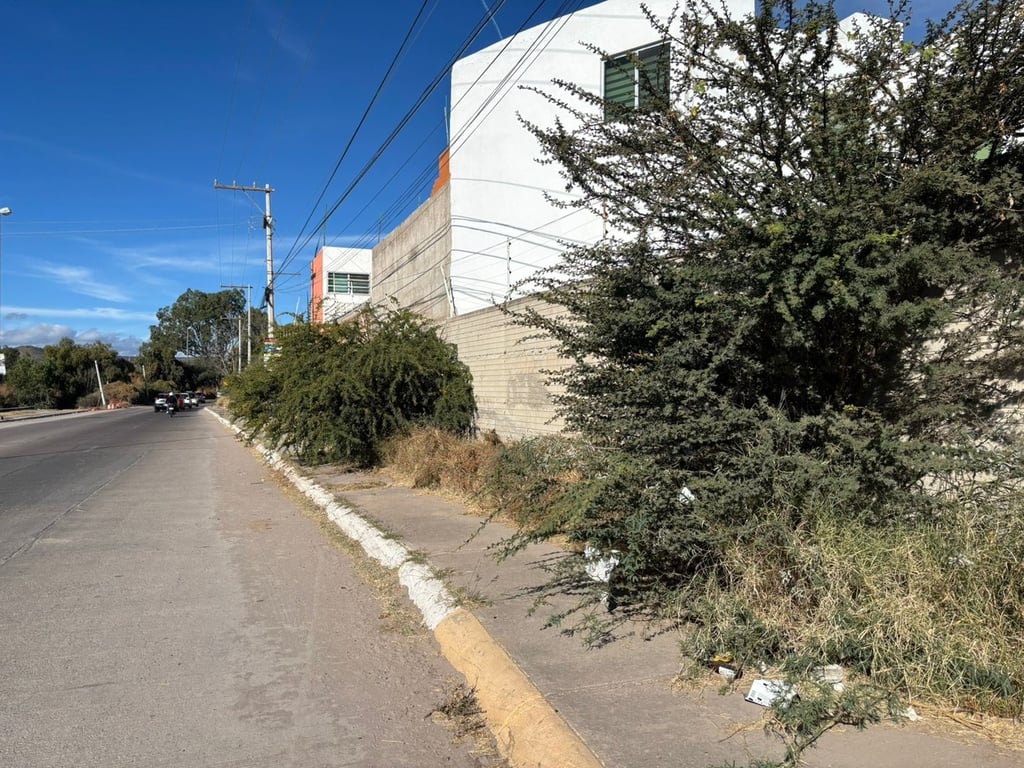 Poco espacio queda para la gente que se ve en la necesidad de desplazarse caminando por esta zona, ya que es de tal magnitud la hierba que no ha sido podada por personal del Municipio.