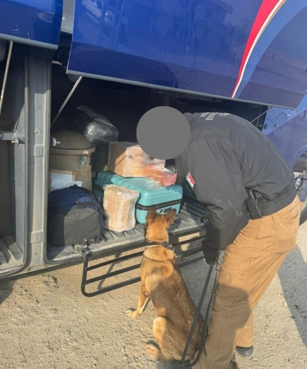 Decomiso. Los binomios detectaron los paquetes en la parte inferior del camión.