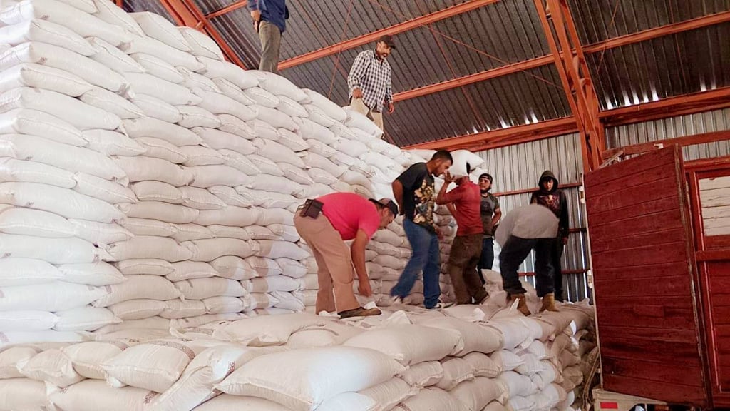Acopio. Para diciembre, los Centros de Alimentación para el Bienestar recibirán hasta 15 mil toneladas de frijol.