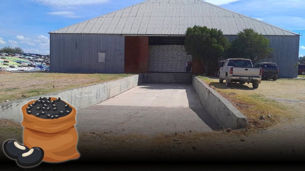 Bodegas de Durango con frijol rezagado ya se están liberando: SADER