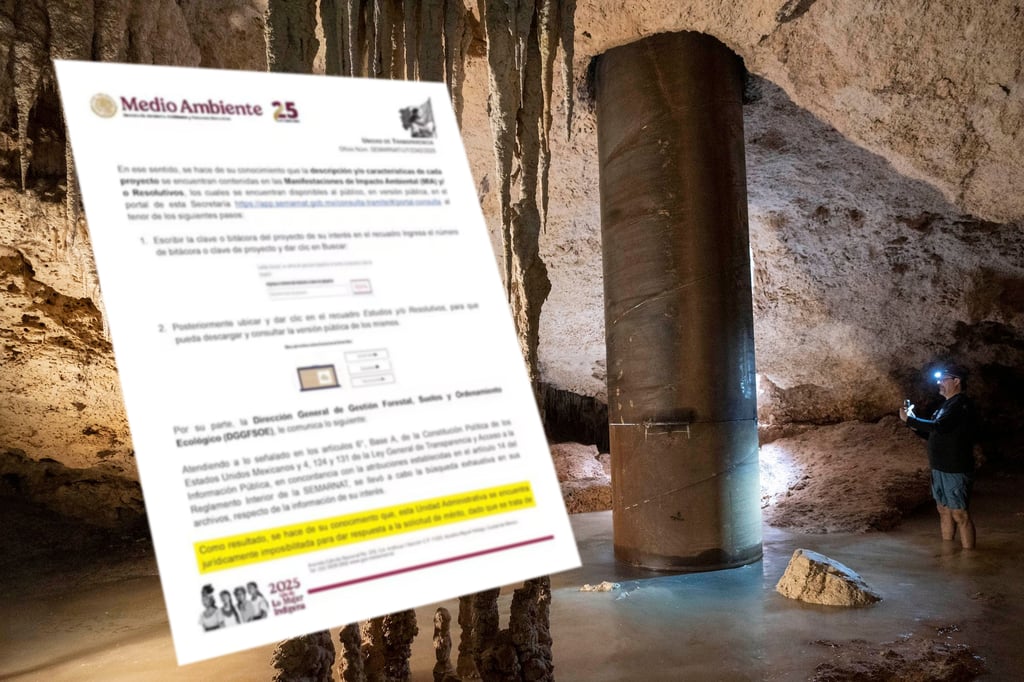 Tren Maya: Semarnat reserva datos sobre daño ecológico; alega motivos de seguridad nacional