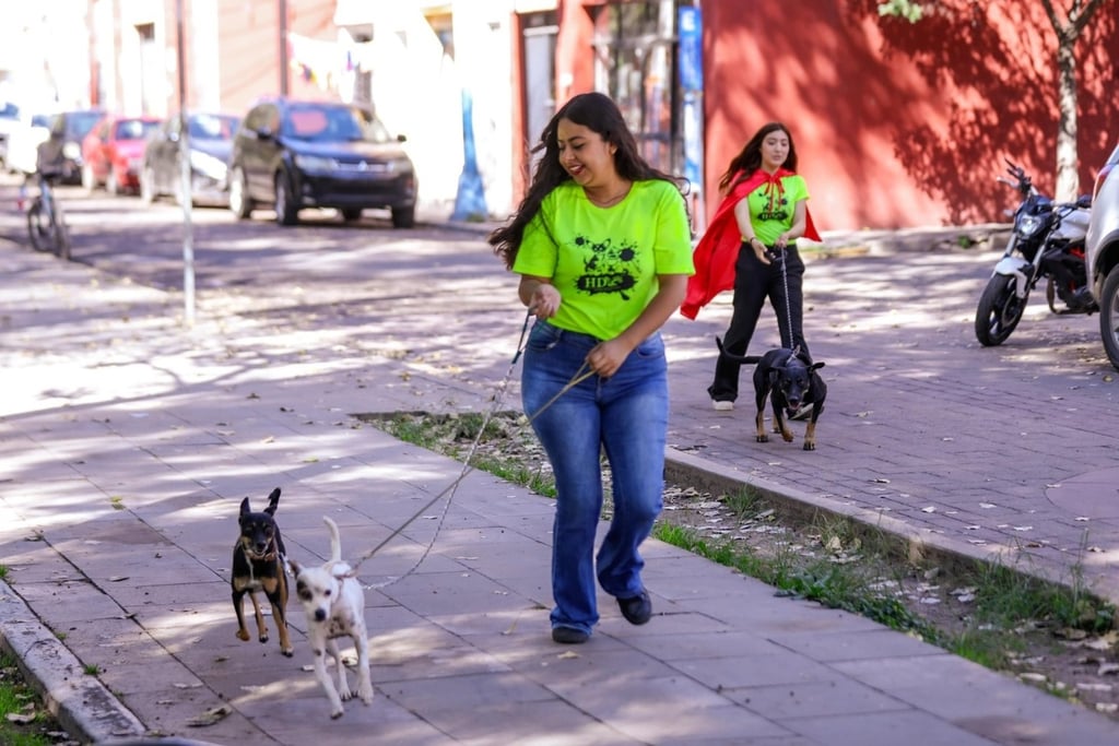 Objetivo. El primer domingo de enero continuarán las actividades del programa.