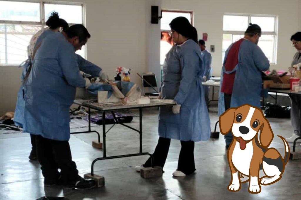 Esterilizan a perritos de localidades de la zona rural en Durango
