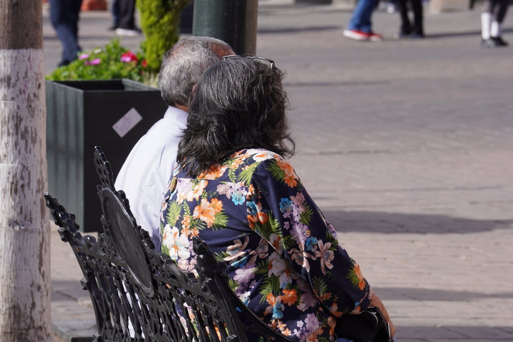 Padrón. Una iniciativa de propuesta es para que DIF Municipal registre a los adultos mayores que viven solos en la ciudad, para que se les dé un seguimiento y se asegure su alimentación.
