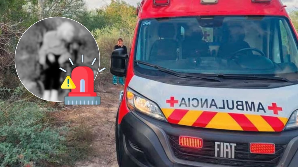 Abandonan a adulta mayor en silla de ruedas a la orilla de la carretera
