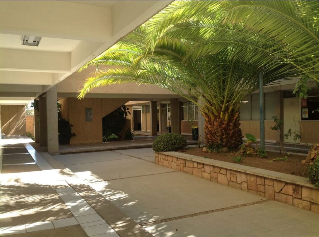 Trabajo. Se lleva a cabo una intensa labor para ofrecer posgrados de calidad.