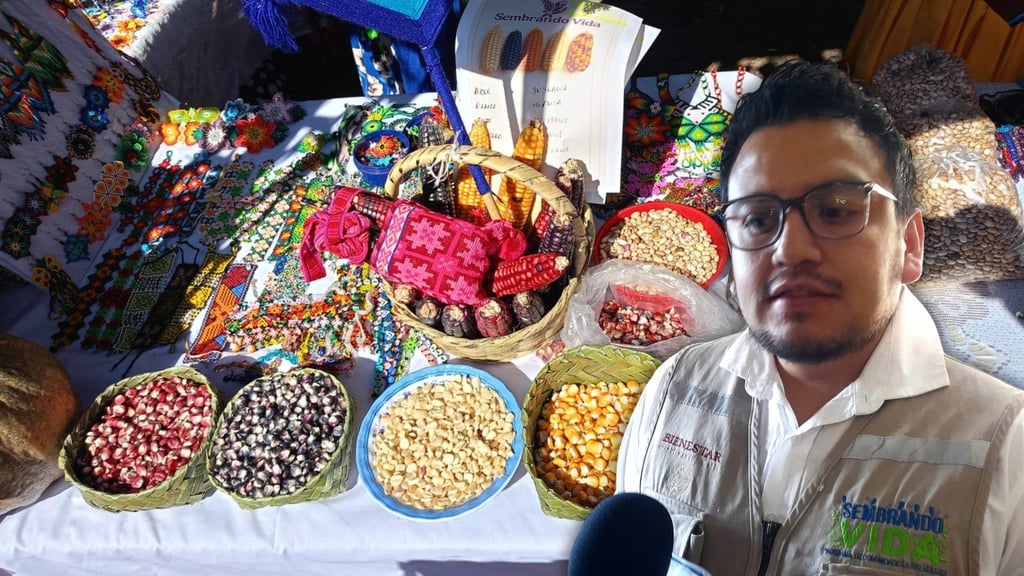 Presentarán Feria Estatal de Sembrando Vida, con productos de 28 municipios de Durango