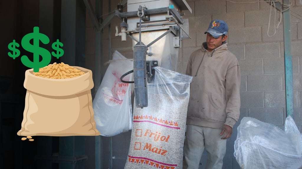 Temas técnicos retrasan acopio de frijol en Durango: Diputado