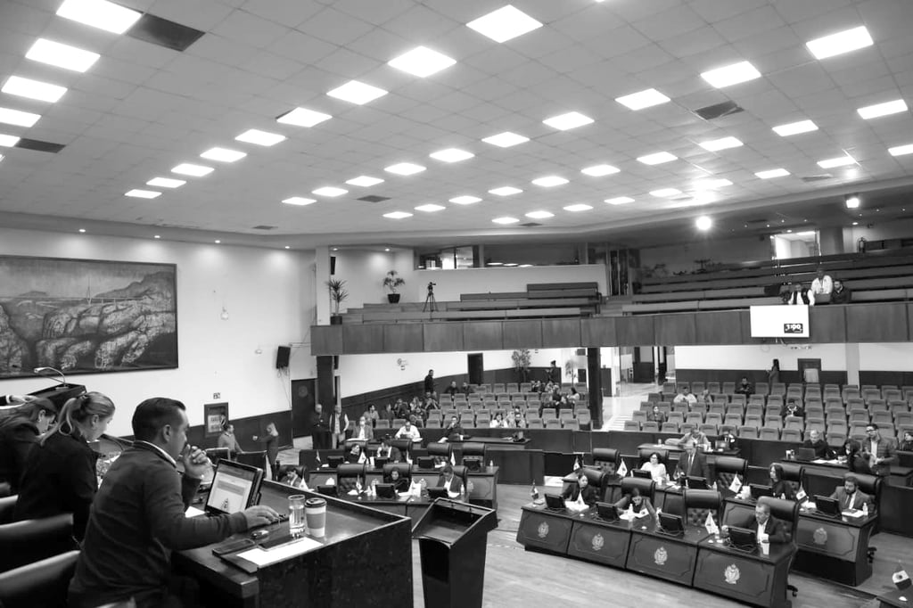 Proyección. Se plantea estructurar un plan de trabajo para lo que resta de la Legislatura.