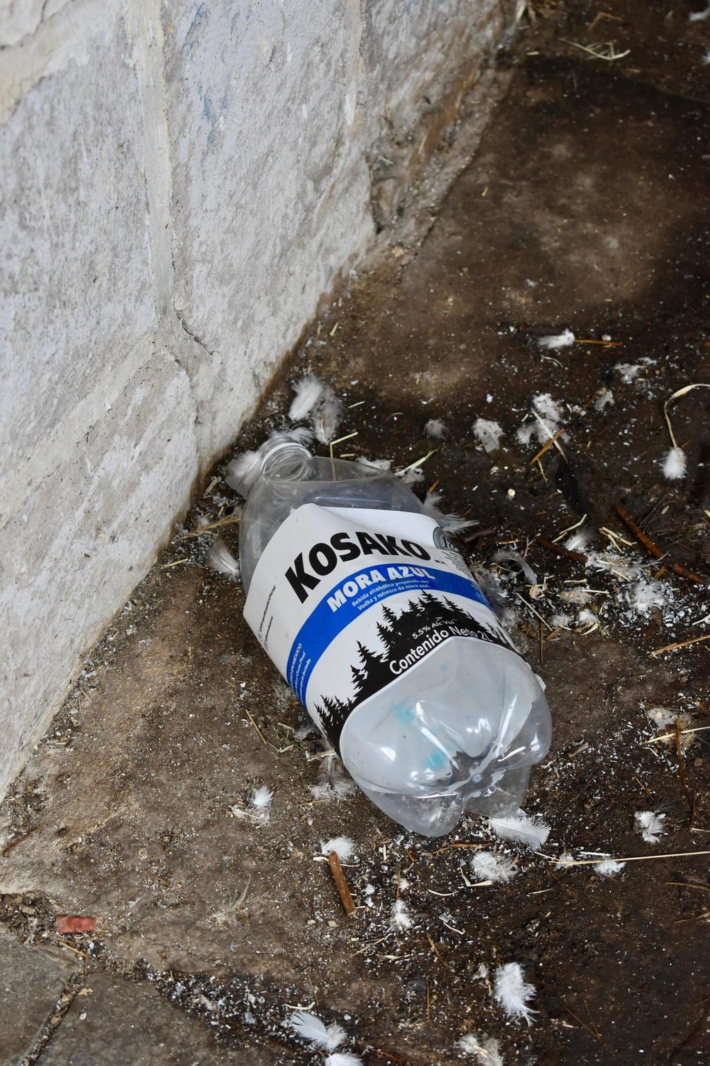 Pintas empañan el Mirador