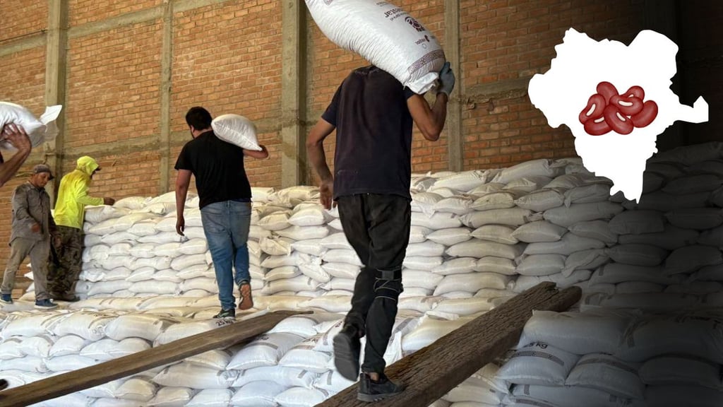En Durango, pocos productores de frijol han logrado acopiar su producto