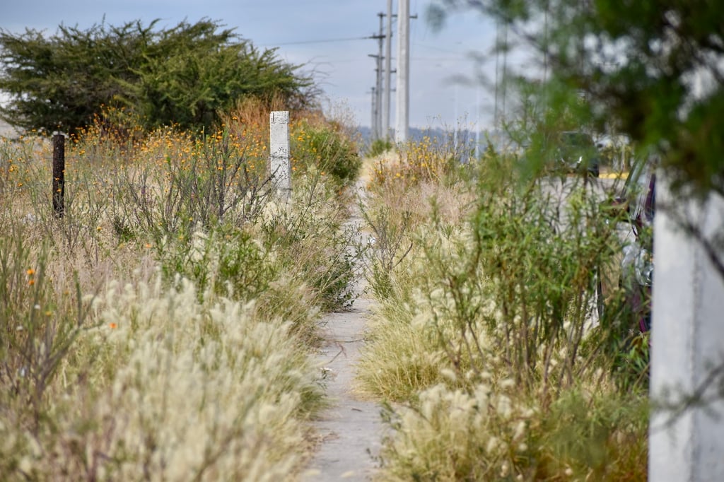 En riesgo ante descuido