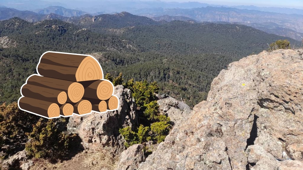 Durango, de los principales productores de madera en el país