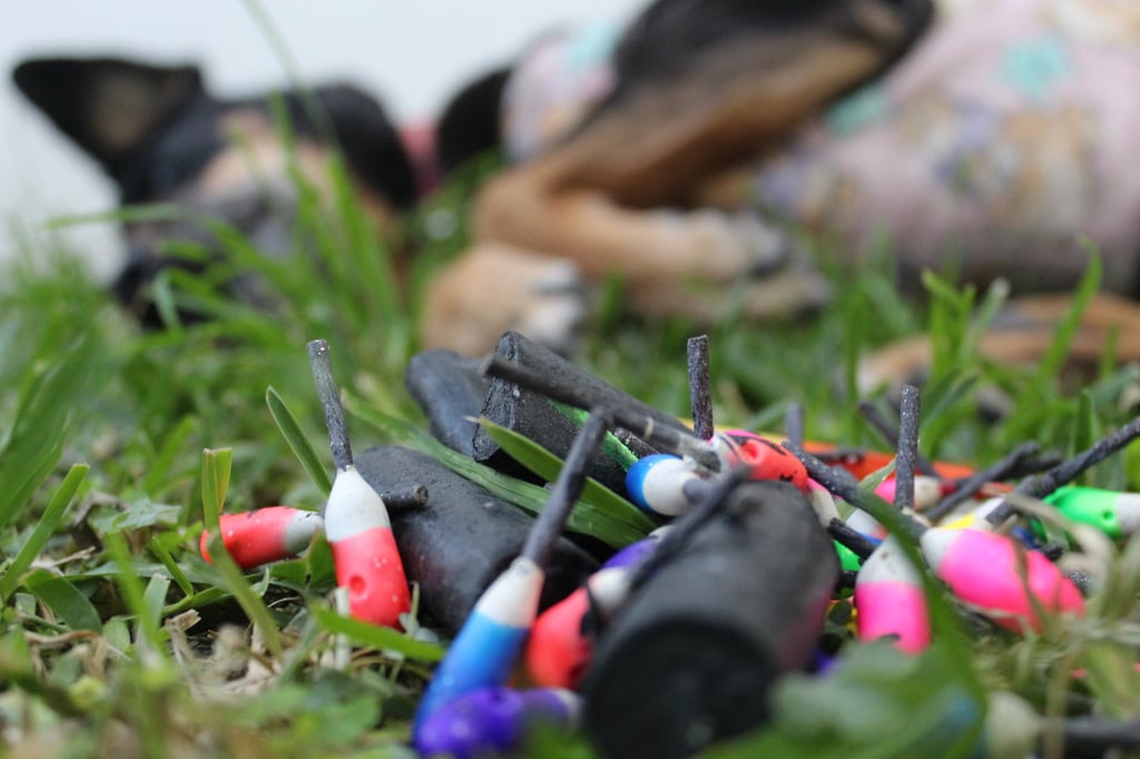 Efectos. Además de la contaminación y daño a las mascotas sensibles, algunas personas también sufren por los estruendos.
