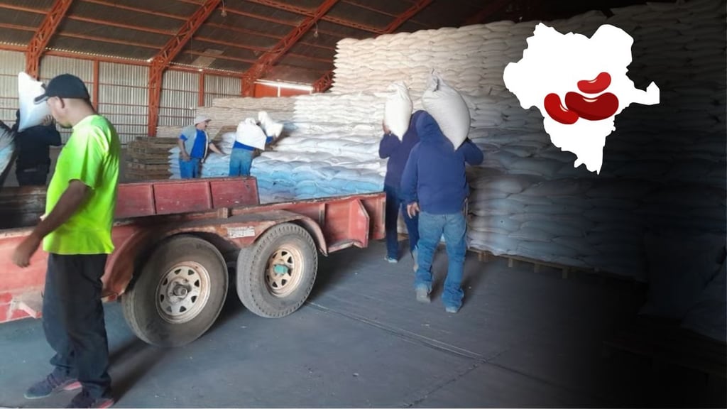 Productores denuncian importación de más de 230 mil toneladas de frijol al país