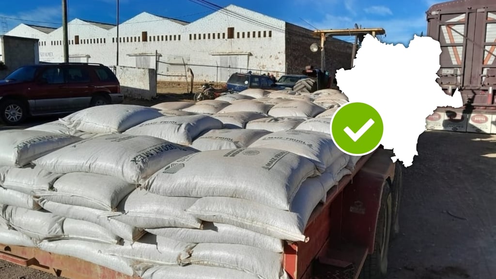 Acopio de frijol y maíz en Durango sigue abierto, pero avanza con lentitud: SADER