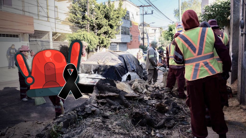 Confirman que sismo de 6.5 grados dejó una persona sin vida y varios daños materiales en Guerrero