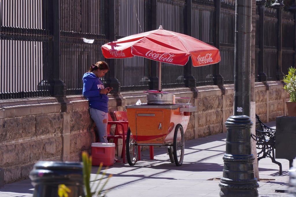 Disposición. A la par del reclamo se emitieron algunas recomendaciones para abatir esta situación, a fin de incentivar la recuperación del sector formal, que cumple con normativas legales y fiscales.