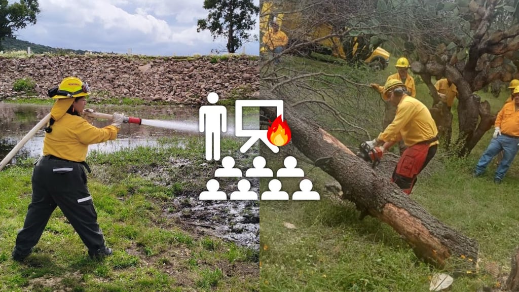 Conafor capacitará a brigadistas municipales de Durango para atención de incendios forestales