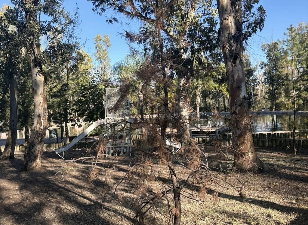 Reportes. Son diversas las quejas en redes sociales por protectores del Medio Ambiente por el abandono en algunas zonas.