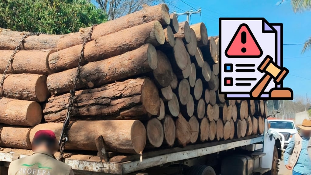 Minería y tala ilegal concentran sanciones de Profepa en Durango durante 2025