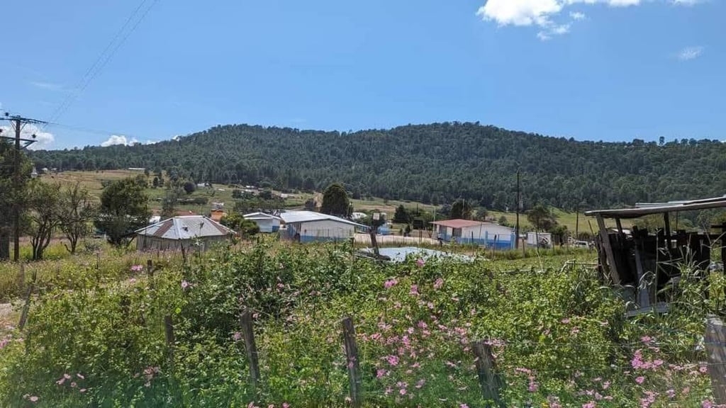 Clima. Siguen registrándose heladas en varias partes del estado.
