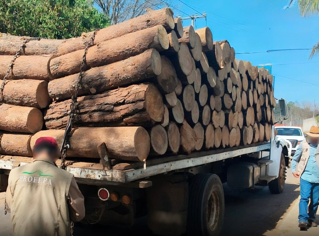 Balance. La Profepa dio a conocer los resultados de las acciones realizadas durante el año 2025 en el estado de Durango.