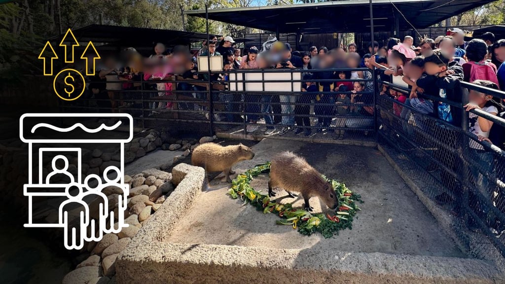 Zoológico Sahuatoba tendrá ajuste en costo de acceso este 2026