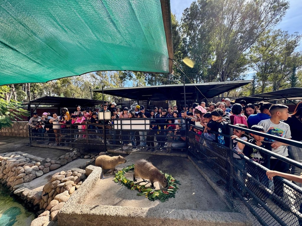 Granjita. El incremento se aplicará también a este espacio de convivencia, para darles de comer a los animales.