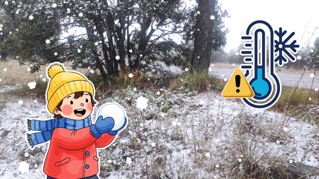 ¡Durango se pintará de blanco! Prevén nevadas en la sierra este fin de semana