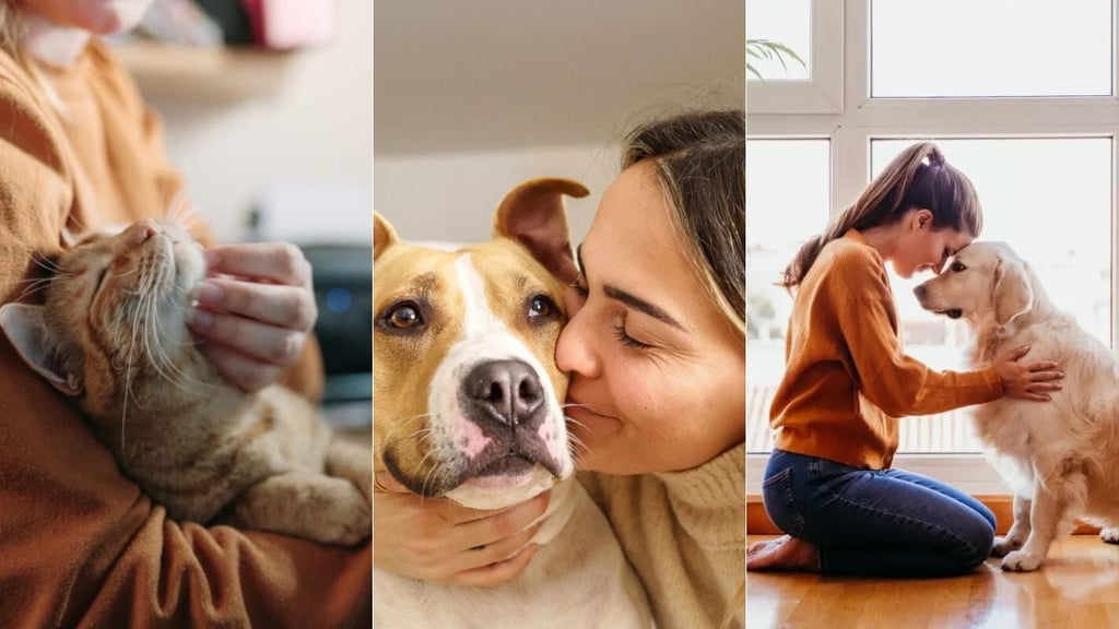 Razones para tener una mascota