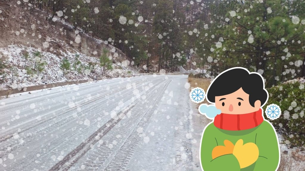 ¡Ya está nevando en Durango! Se registra primera caída de nieve por segunda tormenta invernal