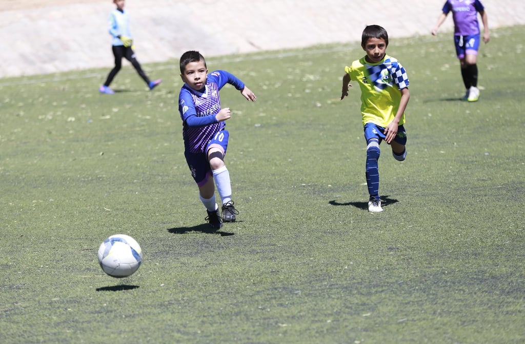 Festejo. La liga informó que habrá reconocimientos individuales al Mejor Portero, Campeón de Goleo y Entrenador Campeón.