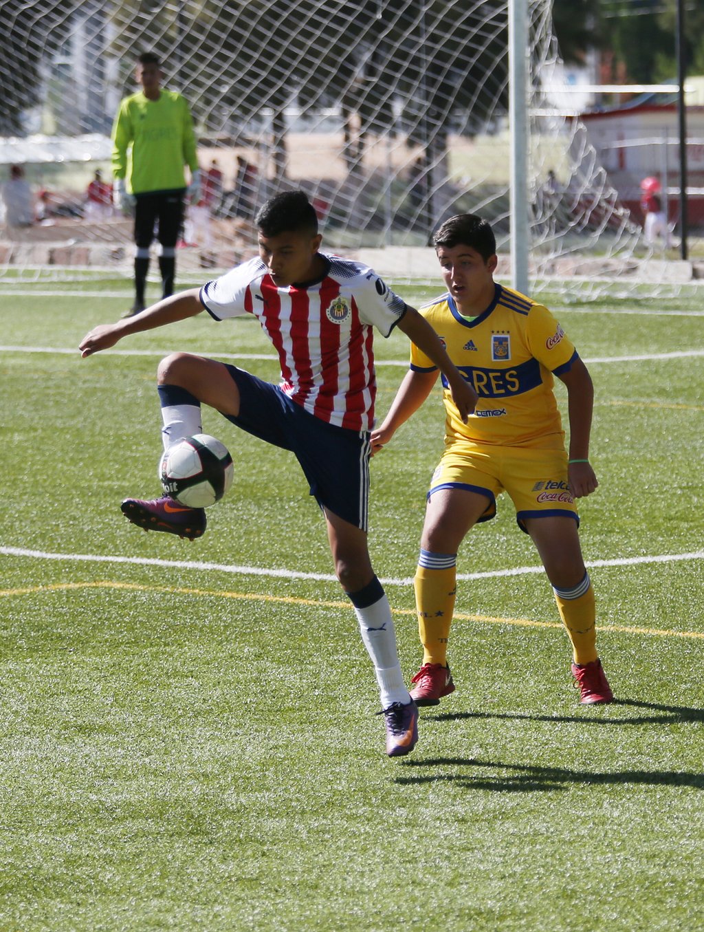Refuerzos. Estas actividades forman parte del programa de captación del club, organizado junto con Chivas Visoría y MG.