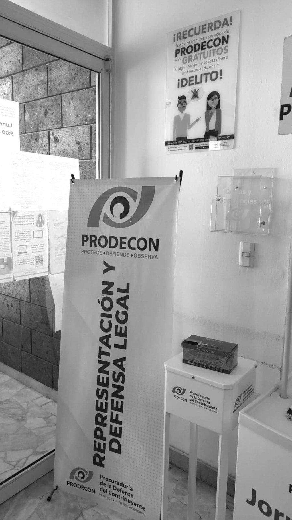 Servicios. Brindan asesorías y orientaciones gratuitas, incluso representación legal.