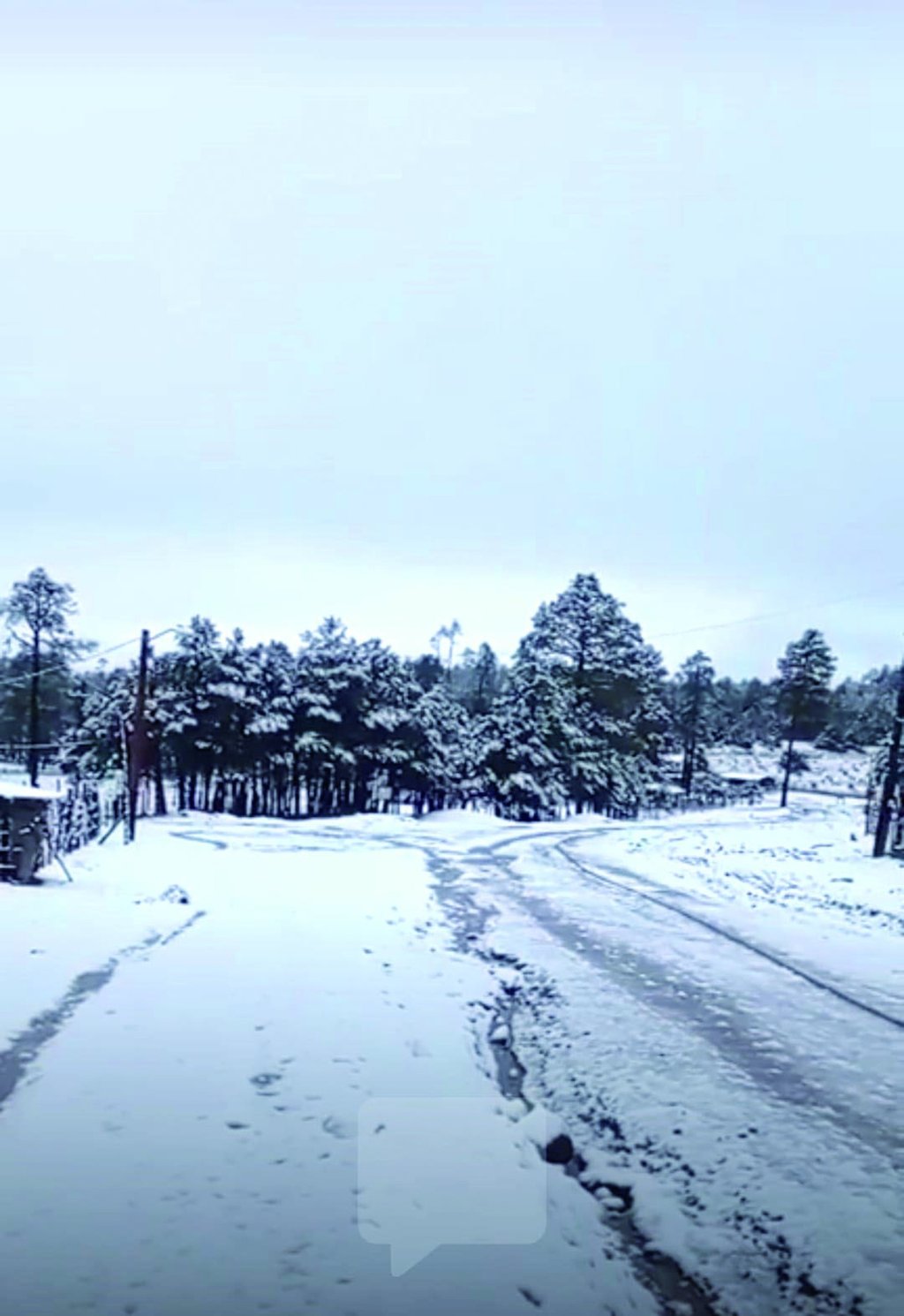 La nieve dejó hermosas postales de Durango, pero también hubo incidentes como fallas en la luz.
