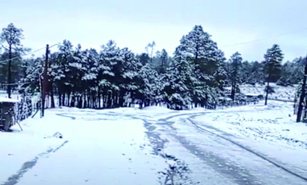 La nieve dejó hermosas postales de Durango, pero también hubo incidentes como fallas en la luz. 